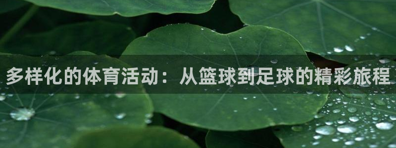 新极速体育：多样化的体育活动：从篮球到足球的精彩旅程