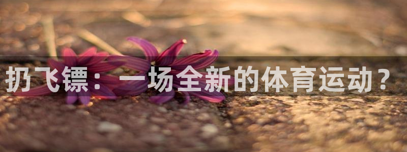 体育吧,极速体育：扔飞镖：一场全新的体育运动？