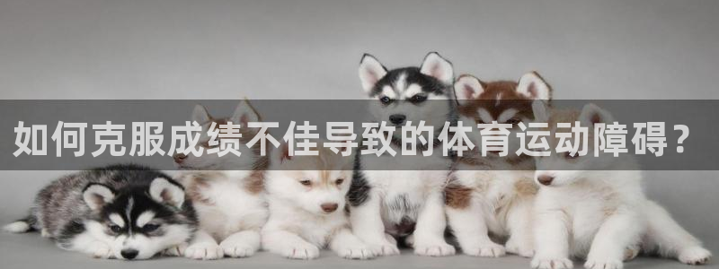 极速体育app 下载：如何克服成绩不佳导致的体育运动障碍？