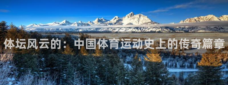 极速体育培训学校有限公司：体坛风云的：中国体育运动史上的传奇篇章