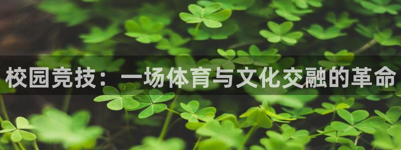 播极速体育直播吧：校园竞技：一场体育与文化交融的革命