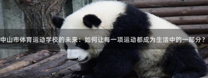 极速体育app下载安装：中山市体育运动学校的未来：如何让每一项运动都成为生活中的一部分？